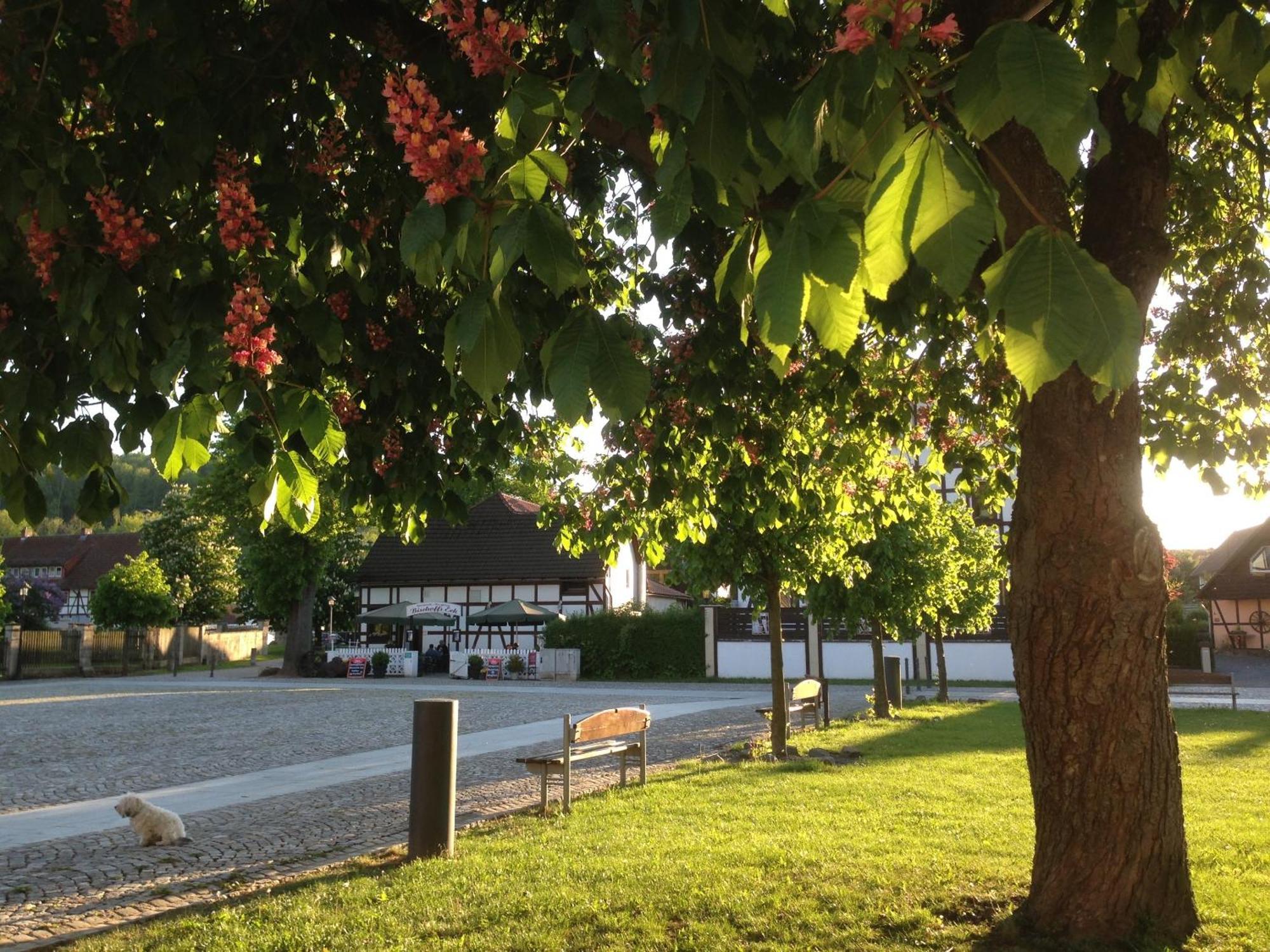 Klosterhotel Walkenried 外观 照片